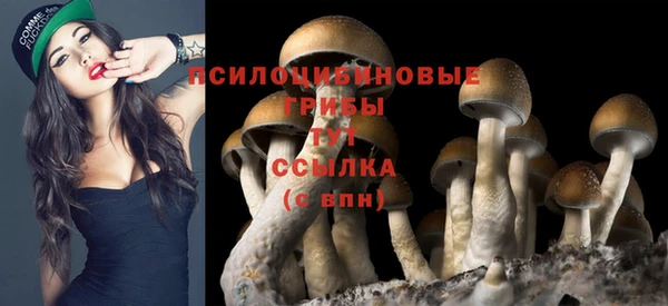 таблы Абаза