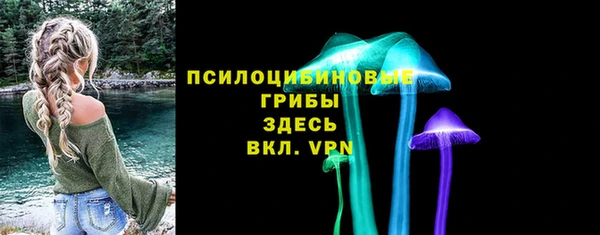 ГАЛЛЮЦИНОГЕННЫЕ ГРИБЫ Липки