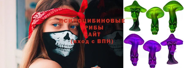 ГАЛЛЮЦИНОГЕННЫЕ ГРИБЫ Липки
