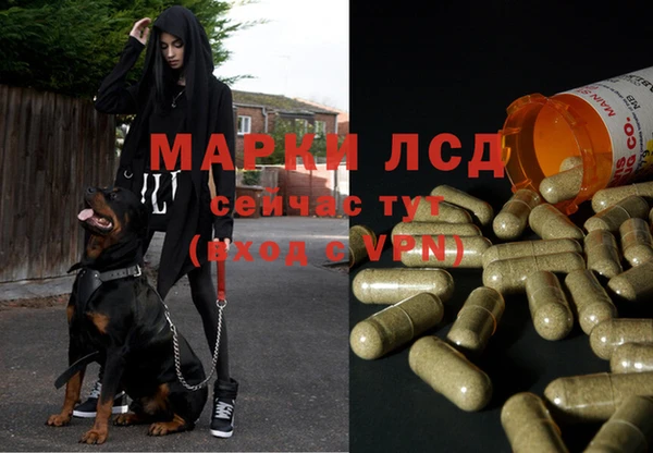 PSILOCYBIN Лихославль
