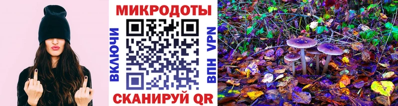 Псилоцибиновые грибы Magic Shrooms купить наркотик Комсомольск-на-Амуре