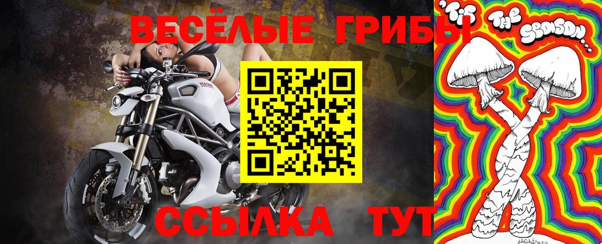 Галлюциногенные грибы Psilocybe  Вход с VPN  Комсомольск-на-Амуре 